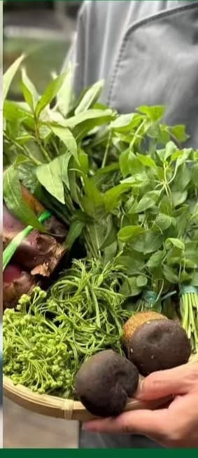 Visit a Local Market with the Songtsam Chef in Pu'er